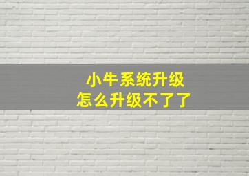 小牛系统升级怎么升级不了了