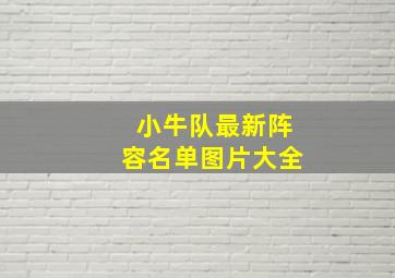 小牛队最新阵容名单图片大全