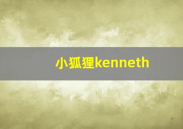 小狐狸kenneth