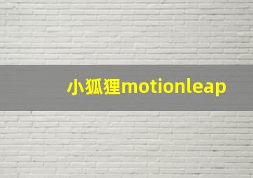 小狐狸motionleap