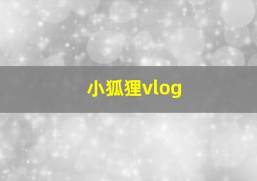 小狐狸vlog