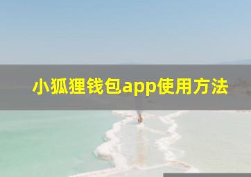 小狐狸钱包app使用方法