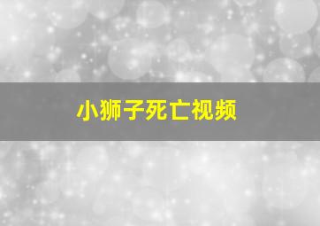 小狮子死亡视频