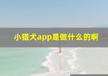 小猎犬app是做什么的啊