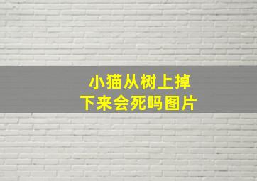 小猫从树上掉下来会死吗图片