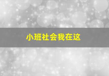 小班社会我在这