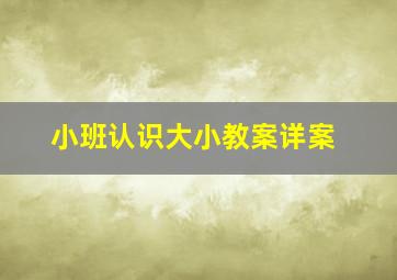 小班认识大小教案详案