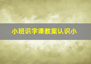 小班识字课教案认识小