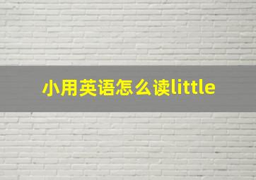 小用英语怎么读little