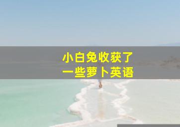 小白兔收获了一些萝卜英语