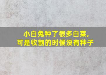 小白兔种了很多白菜,可是收割的时候没有种子