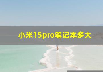 小米15pro笔记本多大