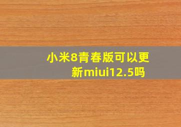 小米8青春版可以更新miui12.5吗