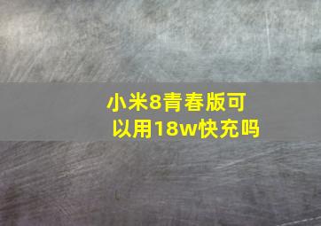 小米8青春版可以用18w快充吗