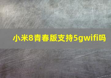 小米8青春版支持5gwifi吗