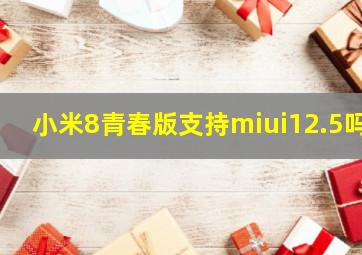 小米8青春版支持miui12.5吗