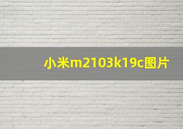 小米m2103k19c图片