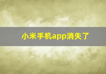 小米手机app消失了