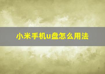 小米手机u盘怎么用法