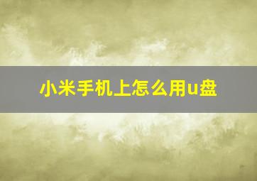 小米手机上怎么用u盘