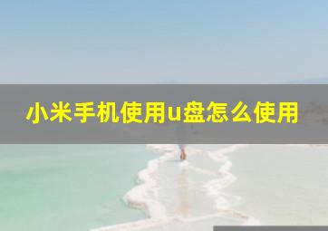 小米手机使用u盘怎么使用