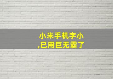 小米手机字小,已用巨无霸了