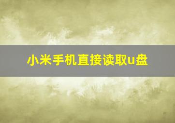 小米手机直接读取u盘