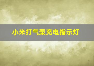 小米打气泵充电指示灯