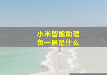 小米智能助理负一屏是什么