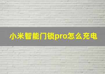 小米智能门锁pro怎么充电