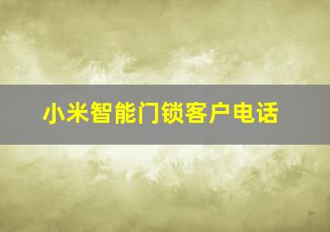 小米智能门锁客户电话