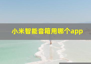 小米智能音箱用哪个app