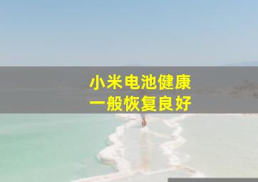 小米电池健康一般恢复良好