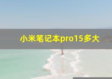 小米笔记本pro15多大