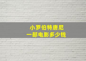 小罗伯特唐尼一部电影多少钱