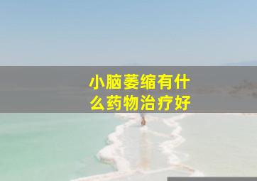 小脑萎缩有什么药物治疗好