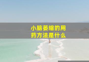 小脑萎缩的用药方法是什么