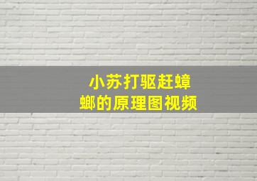 小苏打驱赶蟑螂的原理图视频