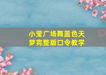 小莹广场舞蓝色天梦完整版口令教学