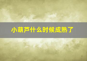 小葫芦什么时候成熟了