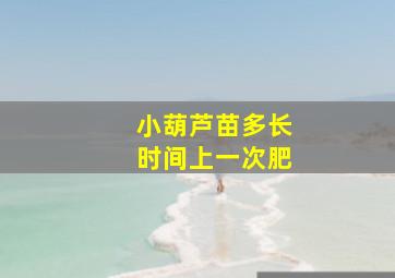 小葫芦苗多长时间上一次肥