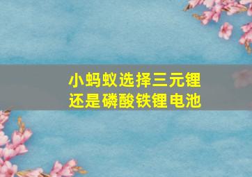 小蚂蚁选择三元锂还是磷酸铁锂电池