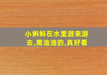 小蝌蚪在水里游来游去,黑油油的,真好看