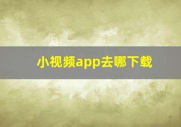 小视频app去哪下载