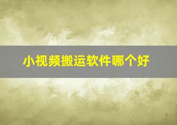 小视频搬运软件哪个好