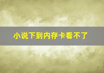 小说下到内存卡看不了