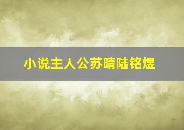 小说主人公苏晴陆铭煜