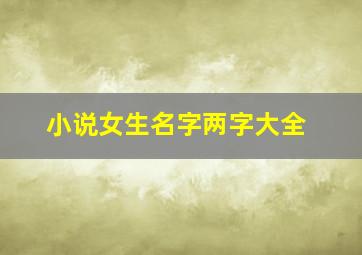 小说女生名字两字大全