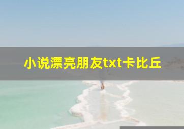 小说漂亮朋友txt卡比丘