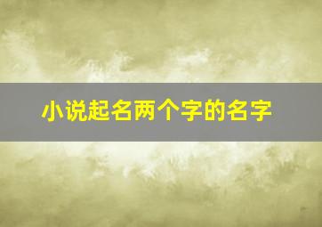 小说起名两个字的名字